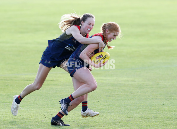 AFLW 2022 S7 Training - Adelaide Crows 161122 - 1022744