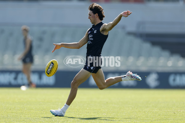 Carlton Blues Training Session - A-15933960