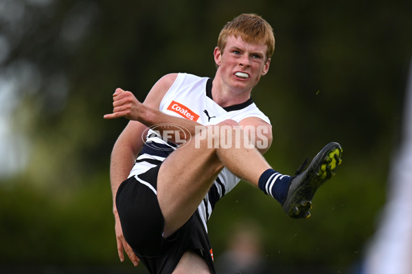 COATES TALENT LEAGUE BOYS 2023 - NORTHERN KNIGHTS V GWS ACADEMY - A-15989161