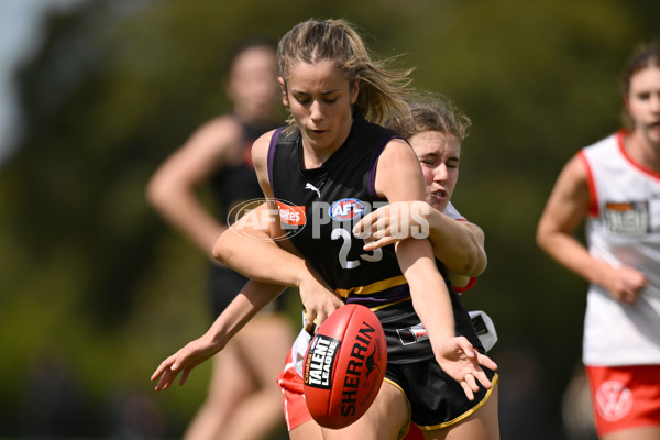COATES TALENT LEAGUE GIRLS 2023 - MURRAY BUSHRANGERS V SYDNEY ACADEMY - A-15991259