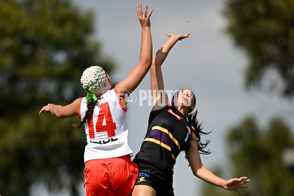 COATES TALENT LEAGUE GIRLS 2023 - MURRAY BUSHRANGERS V SYDNEY ACADEMY - A-15991264