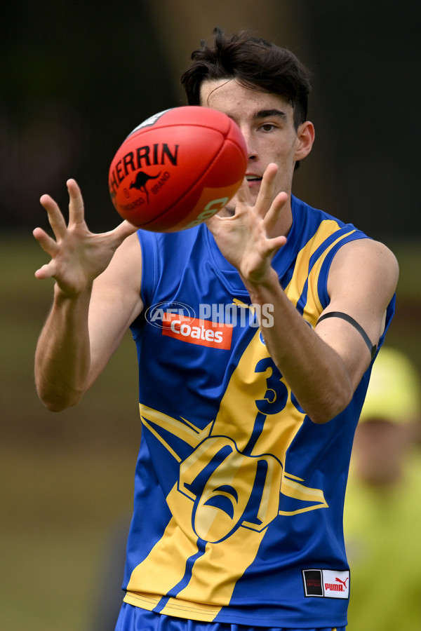 COATES TALENT LEAGUE BOYS 2023 - WESTERN JETS V SYDNEY ACADEMY - A-15995843