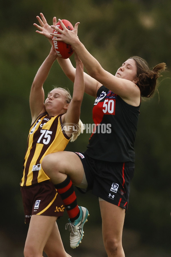 VFLW 2023 ROUND 01 - ESSENDON V BOX HILL - A-16021320