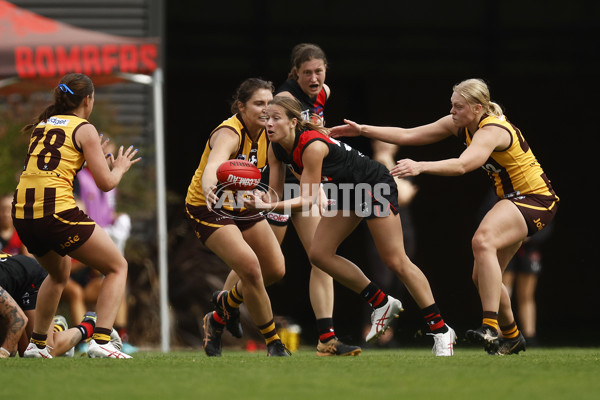 VFLW 2023 ROUND 01 - ESSENDON V BOX HILL - A-16023650