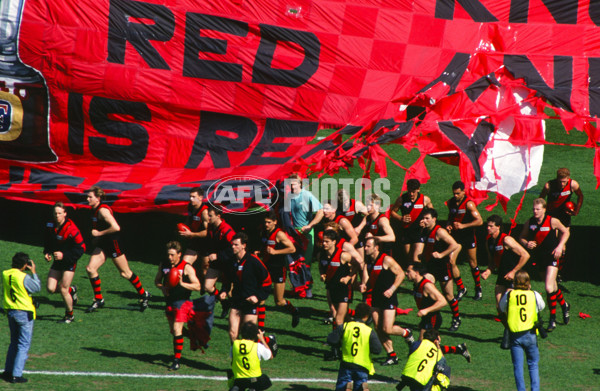 1993 AFL Grand Final - Essendon v Carlton - 20848