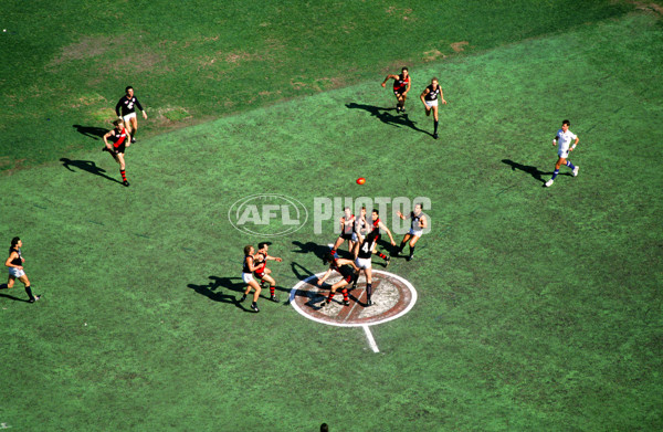 1993 AFL Grand Final - Essendon v Carlton - 20855