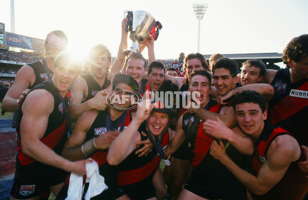 1993 AFL Grand Final - Essendon v Carlton - 21447