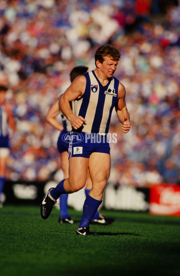 1993 AFL 2nd Elimination Final - West Coast v North Melbourne - 21707