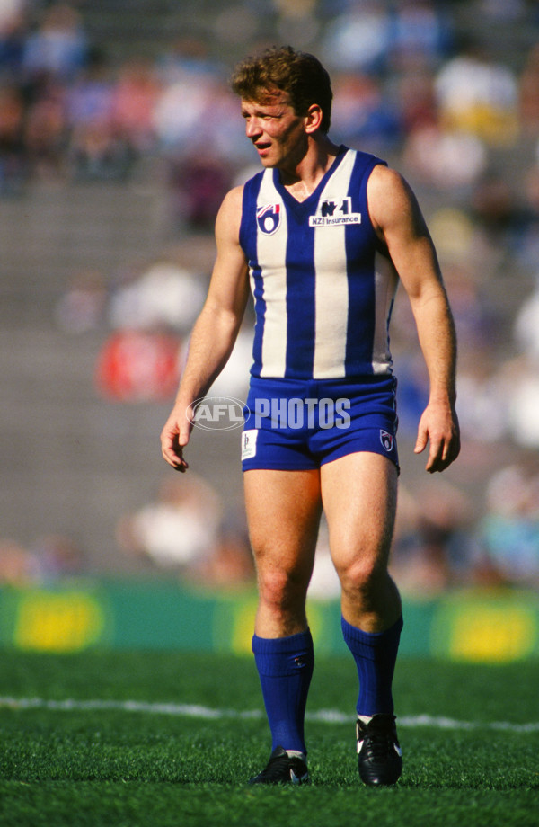 1993 AFL 2nd Elimination Final - West Coast v North Melbourne - 21715