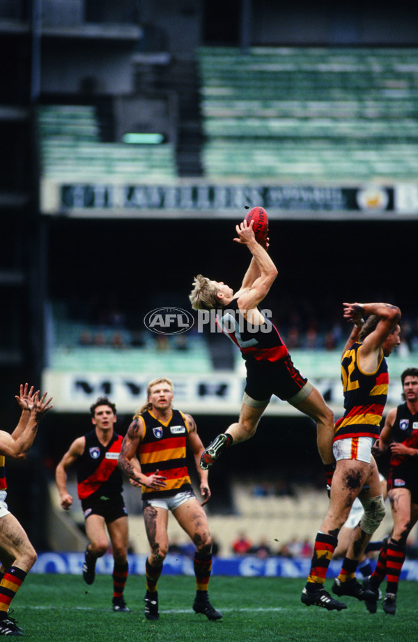 AFL 1993 Round 9 - Adelaide v Essendon - 29814
