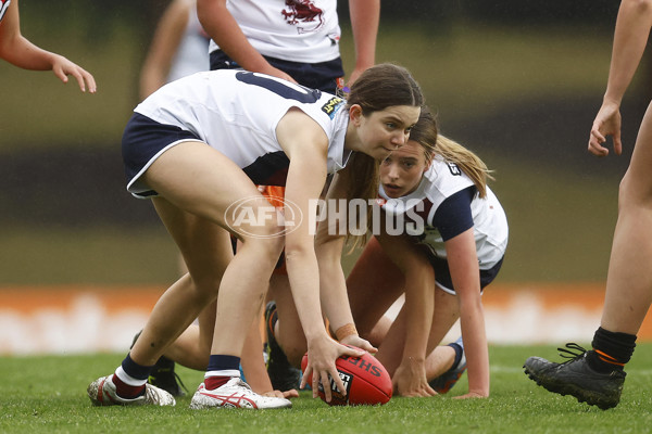 Coates Talent League Girls 2023 - Calder Cannons v Sandringham - A-16605977