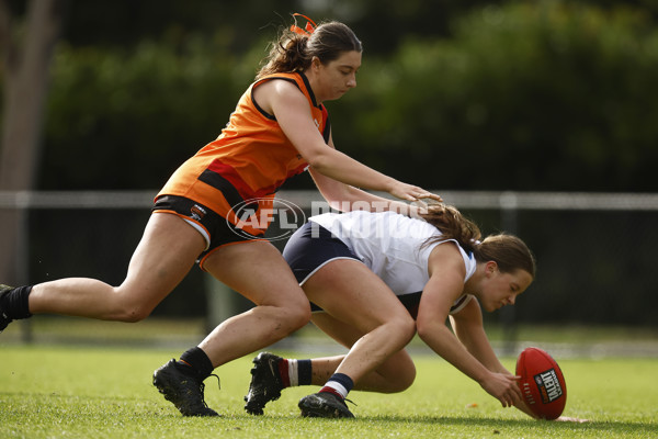 Coates Talent League Girls 2023 - Calder Cannons v Sandringham - A-16607196