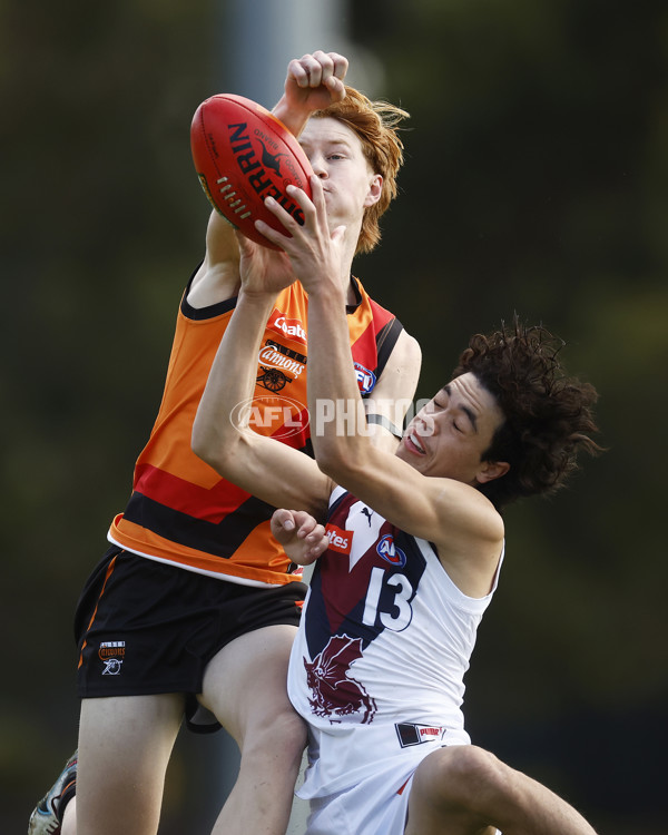 Coates Talent League Boys 2023 - Calder Cannons v Sandringham - A-16608598