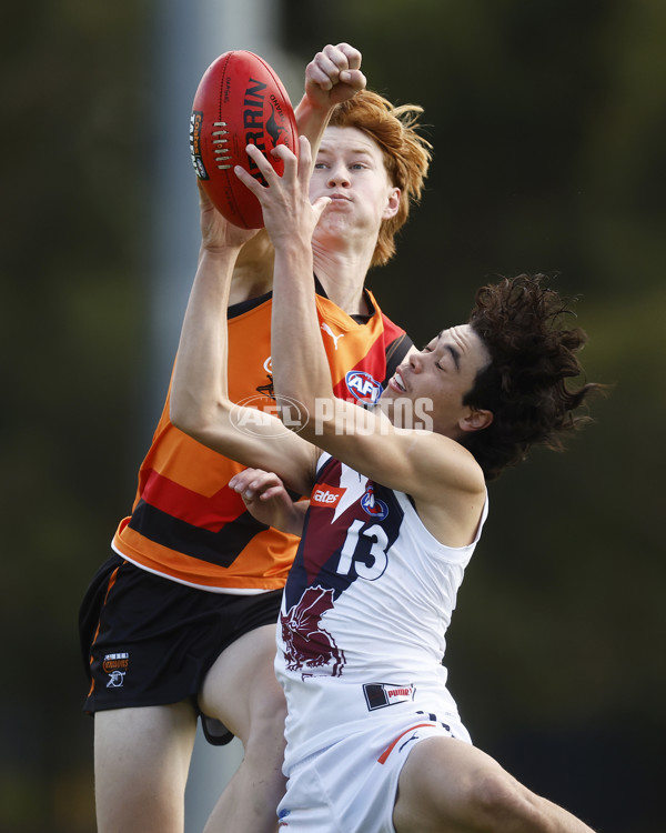 Coates Talent League Boys 2023 - Calder Cannons v Sandringham - A-16609382