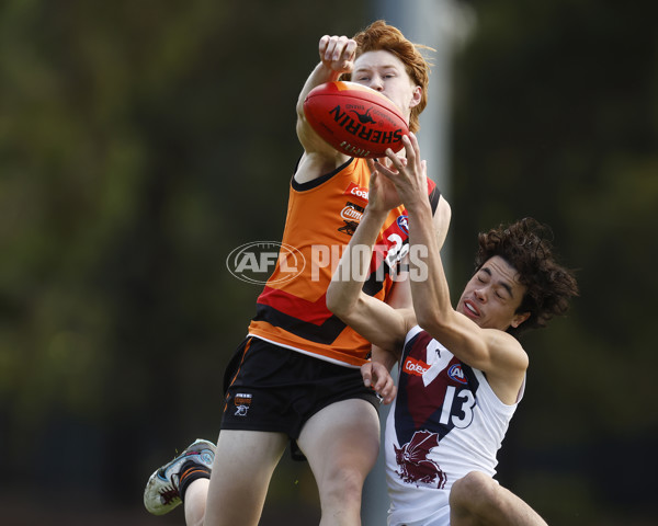 Coates Talent League Boys 2023 - Calder Cannons v Sandringham - A-16609383