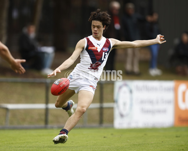 Coates Talent League Boys 2023 - Calder Cannons v Sandringham - A-16610865