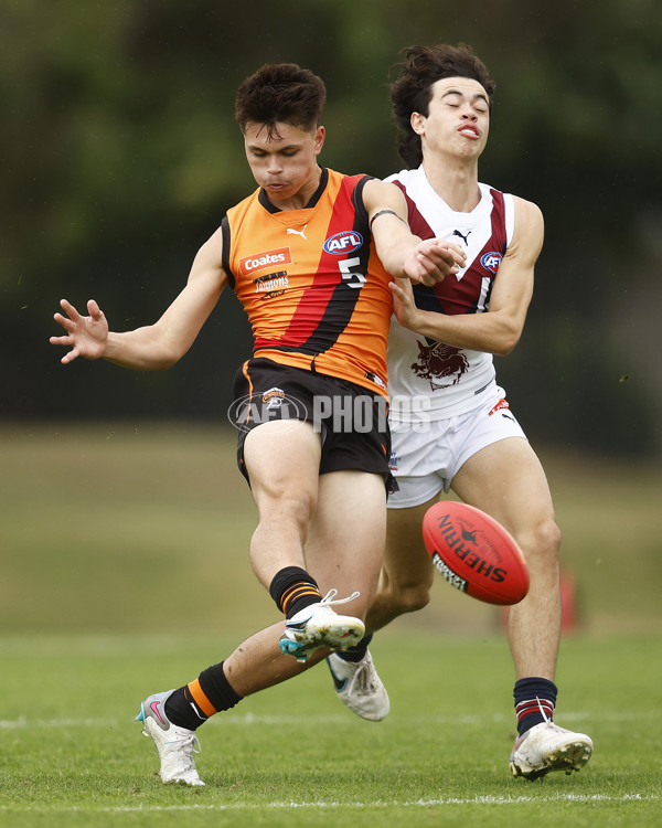 Coates Talent League Boys 2023 - Calder Cannons v Sandringham - A-16610896