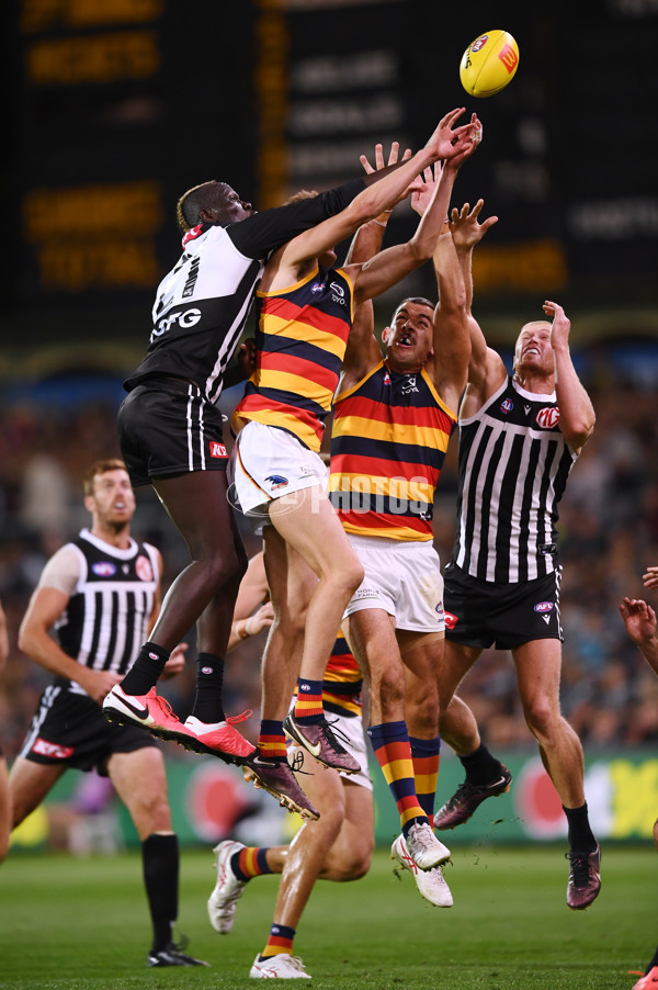 AFL 2023 Round 03 - Port Adelaide v Adelaide - A-16630093