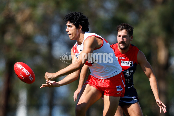 VFL 2023 Round 02 - Casey v Sydney - A-16636596