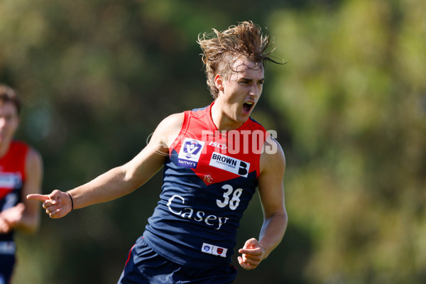 VFL 2023 Round 02 - Casey v Sydney - A-16637091