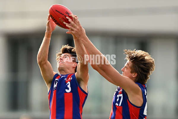 VFL 2023 Round 03 - Williamstown v Port Melbourne - A-17149721