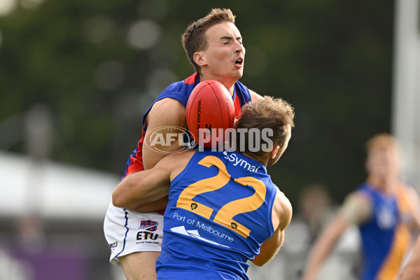 VFL 2023 Round 03 - Williamstown v Port Melbourne - A-17149731