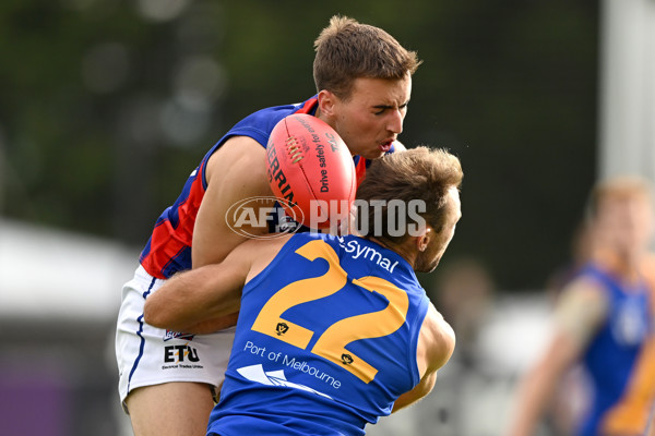 VFL 2023 Round 03 - Williamstown v Port Melbourne - A-17149732