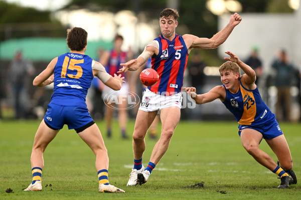 VFL 2023 Round 03 - Williamstown v Port Melbourne - A-17153489