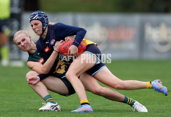 Coates Talent League Girls 2023 - Bendigo v Tasmania - A-17158280