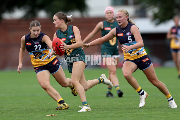 Coates Talent League Girls 2023 - Bendigo v Tasmania - A-17159319