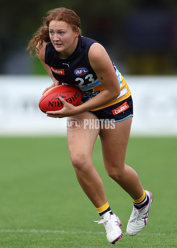 Coates Talent League Girls 2023 - Bendigo v Tasmania - A-17159335