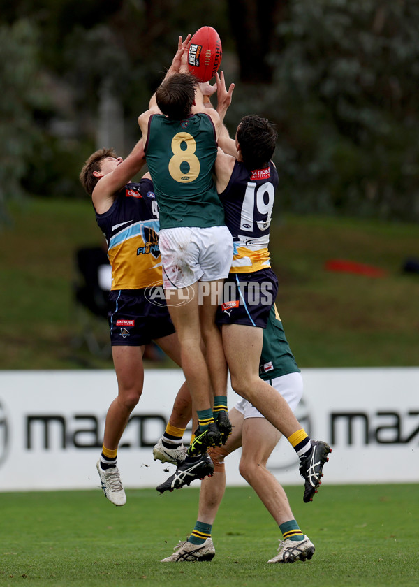 Coates Talent League Boys 2023 - Bendigo v Tasmania - A-17162913