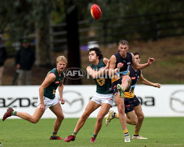Coates Talent League Boys 2023 - Bendigo v Tasmania - A-17163674