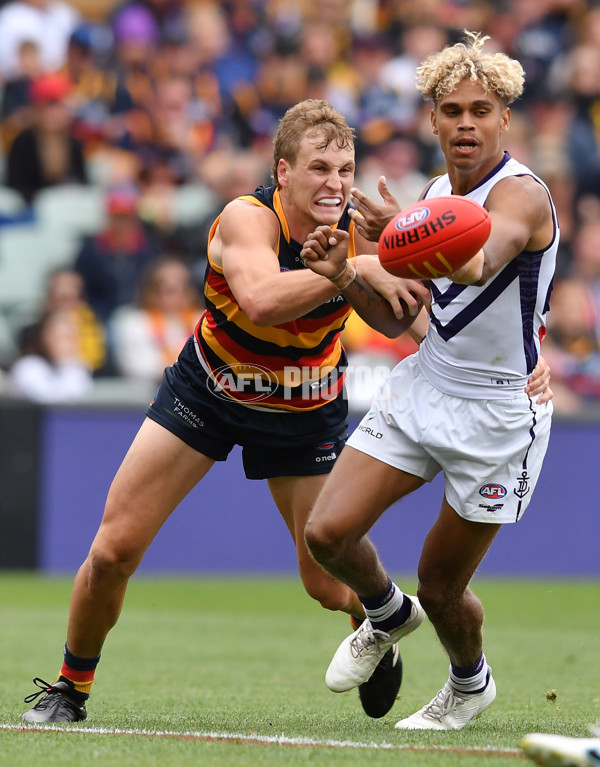 AFL 2023 Round 04 - Adelaide v Fremantle - A-17168475