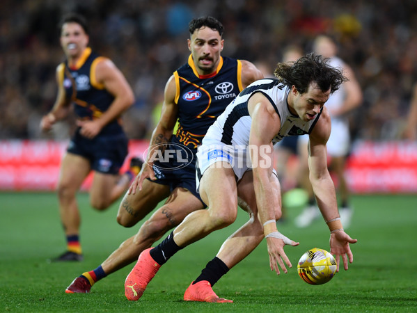 AFL 2023 Round 05 - Adelaide v Carlton - A-17388962