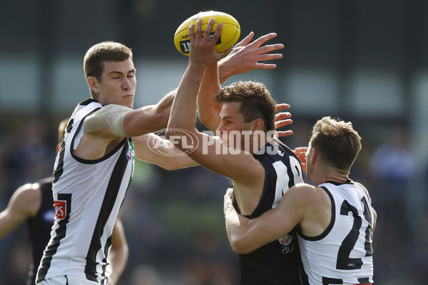 AFL 2020 Training - Carlton v Collingwood Practice Match - 735277