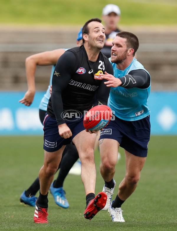 AFL 2020 Training - Western Bulldogs 010620 - 749634