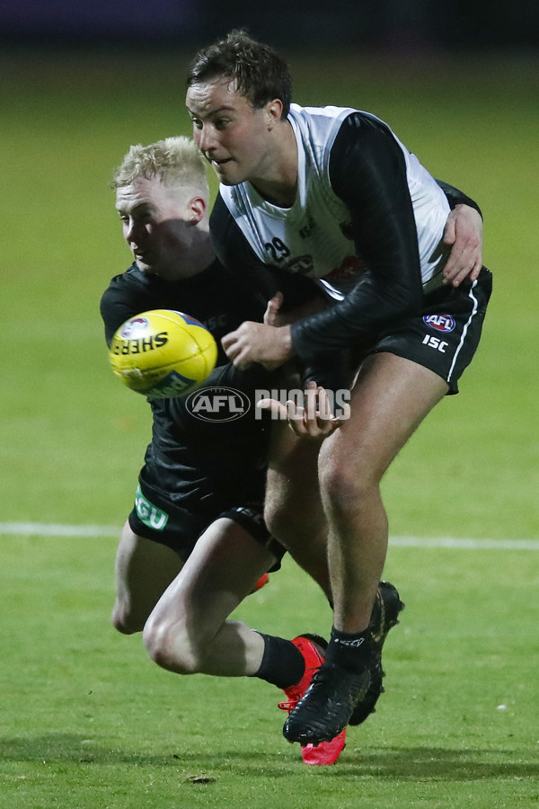 AFL 2020 Training - Collingwood 040620 - 750226