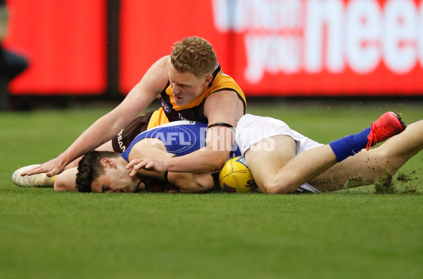 AFL 2020 Round 04 - Hawthorn v North Melbourne - 757827