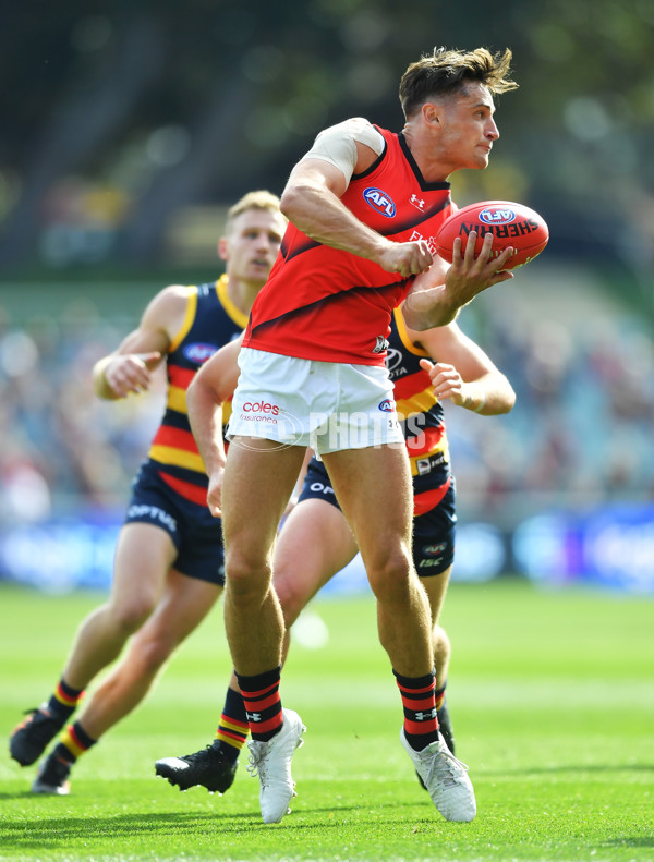 AFL 2020 Round 08 - Adelaide v Essendon - 766205