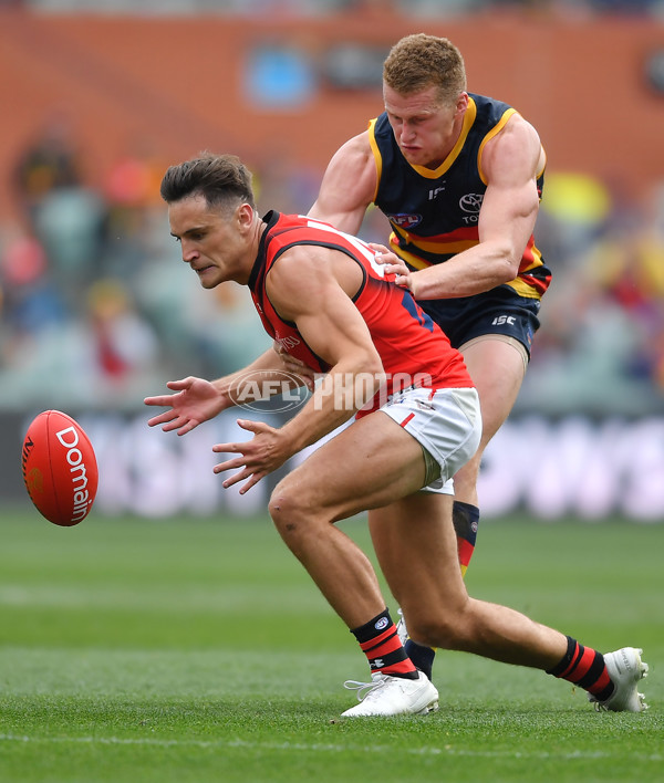 AFL 2020 Round 08 - Adelaide v Essendon - 766420