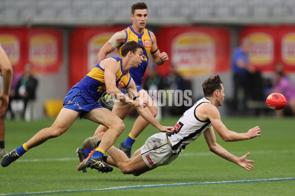 AFL 2020 Round 08 - West Coast v Collingwood - 766689