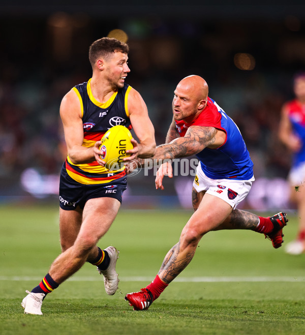 AFL 2020 Round 10 - Adelaide v Melbourne - 770068