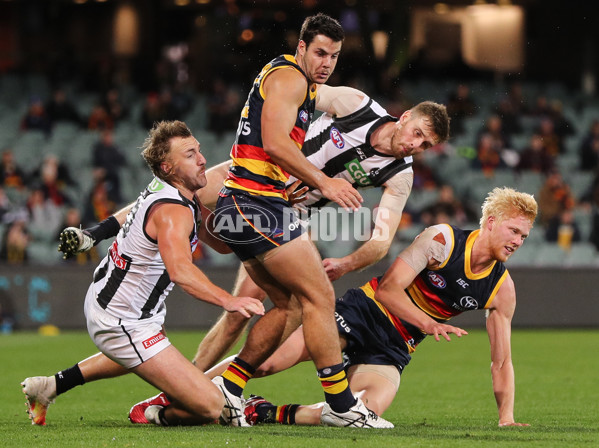 AFL 2020 Round 11 - Adelaide v Collingwood - 772362