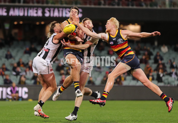 AFL 2020 Round 11 - Adelaide v Collingwood - 772358