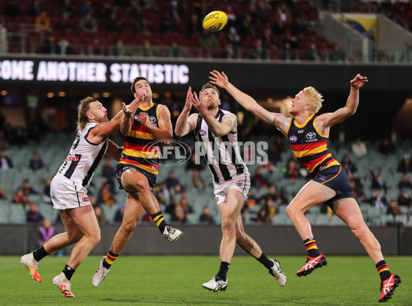 AFL 2020 Round 11 - Adelaide v Collingwood - 772359