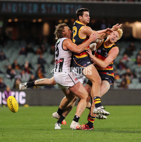 AFL 2020 Round 11 - Adelaide v Collingwood - 772361