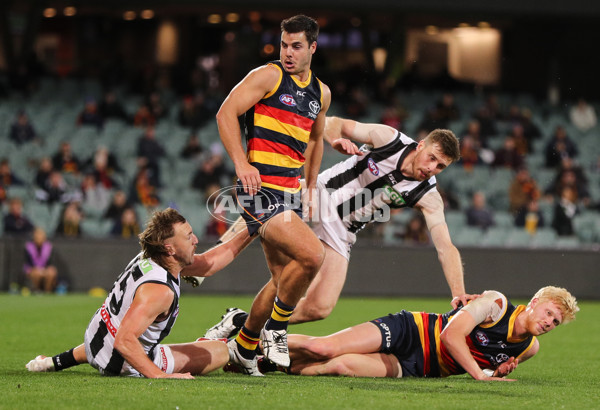 AFL 2020 Round 11 - Adelaide v Collingwood - 772363