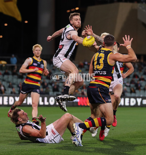 AFL 2020 Round 11 - Adelaide v Collingwood - 772419