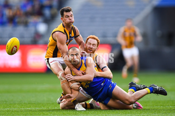 AFL 2020 Round 12 - West Coast v Hawthorn - 773950